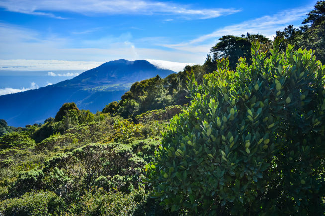 mountain in Costa Rica during a hiking expedition